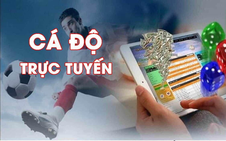 Nguyên tắc 4C là gì?