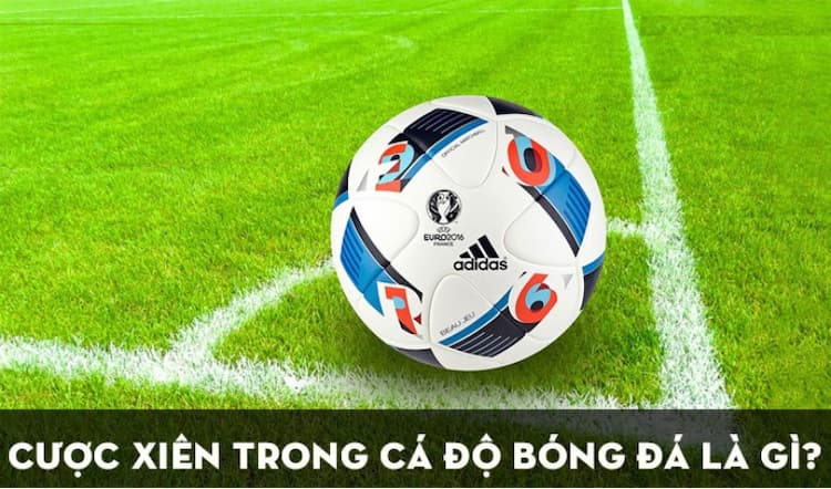 Cược xiên bóng đá